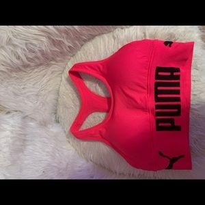 Puma in a size small